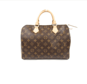 Louis Vuitton Speedy 30 Italian A-grade Handbag 67722 | Sandra Bags