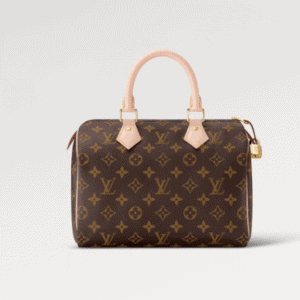 Louis Vuitton Speedy 25 Italian A-grade Handbag 71596 | Sandra Bags