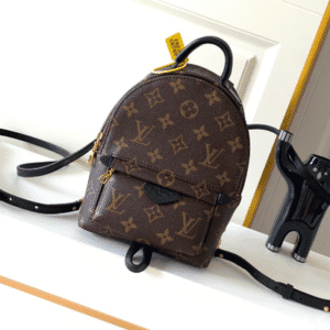 Louis Vuitton Palm Springs Mini Bag 16073 | Sandra Bags