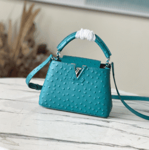 Louis Vuitton Mini Capucines Ostrich Leather Handbag - Blue 80478 | Sandra Bags