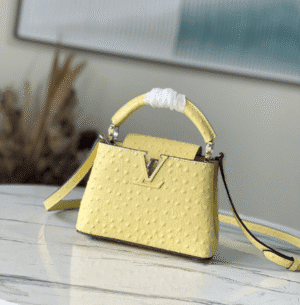 Louis Vuitton Mini Capucines Ostrich Leather Handbag - Yellow 43929 | Sandra Bags