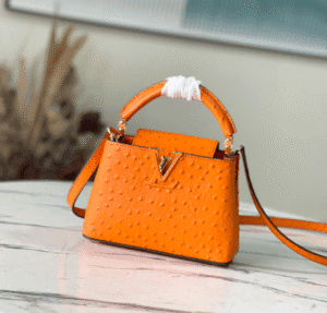 Louis Vuitton Mini Capucines Ostrich Leather Handbag - Orange 46802 | Sandra Bags