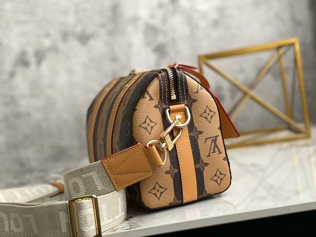 Louis Vuitton Speedy Pillow KEEPALL CITY Handbag - Brown 82893 | Sandra Bags - Image 4