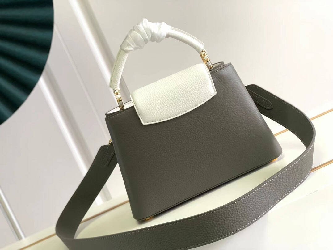 Louis Vuitton Capucines Small MM Bag - Gray 59412 | Sandra Bags - Image 4