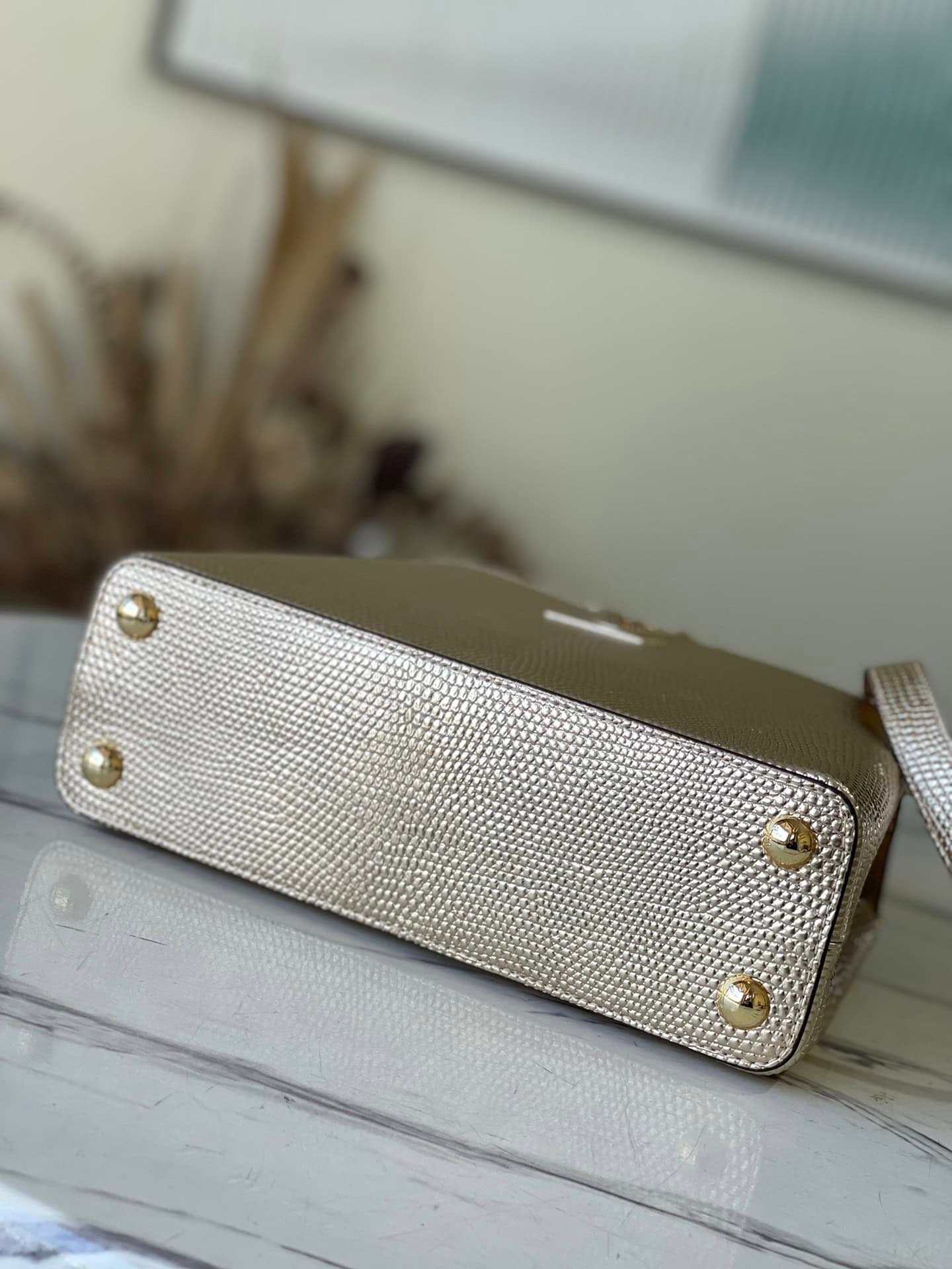 Louis Vuitton Lizard Small Capucines Handbag - Golden 84376 | Sandra Bags - Image 4