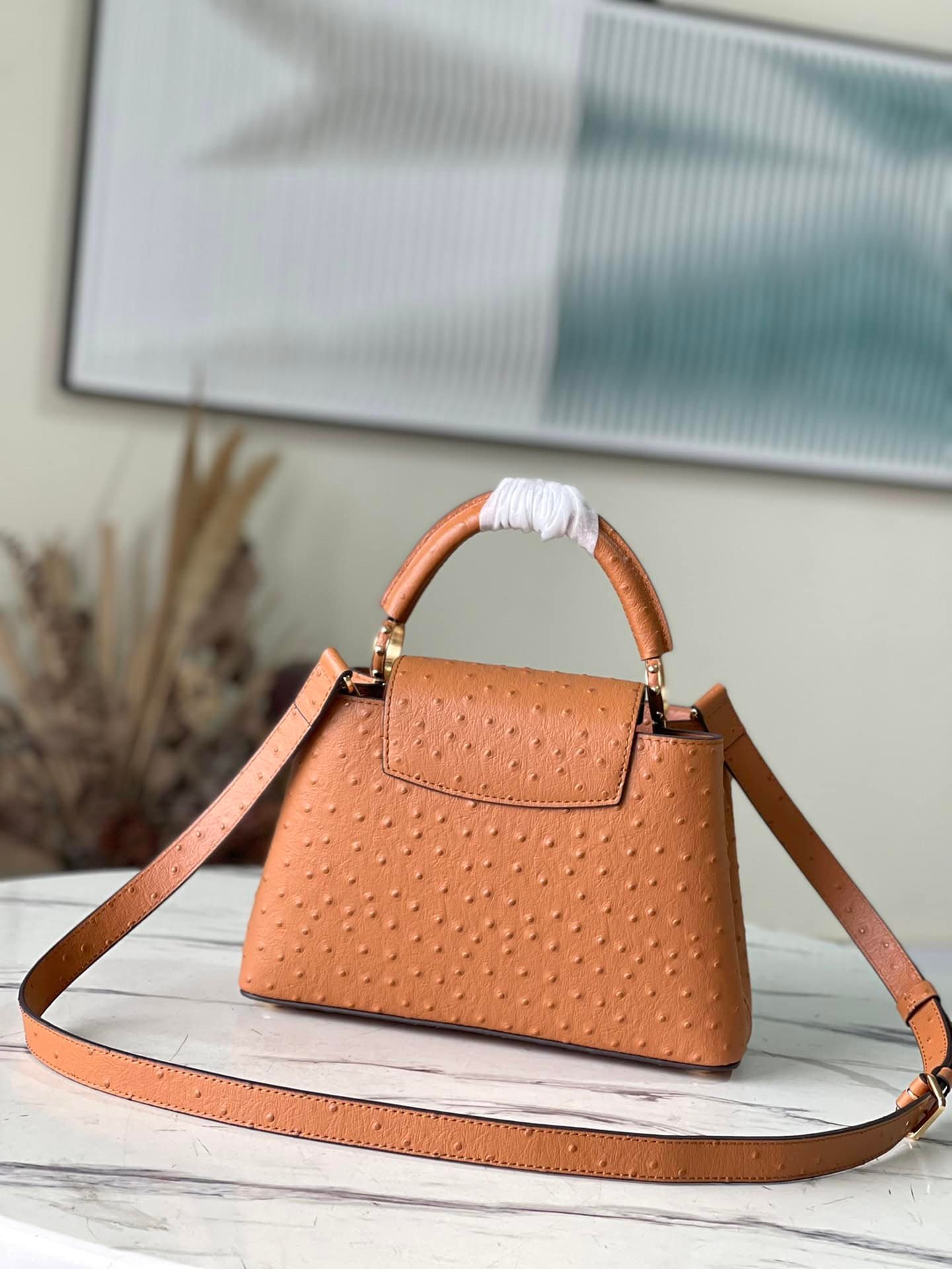 Louis Vuitton Small Capucines Ostrich Leather Handbag - Brown 52339 | Sandra Bags - Image 5