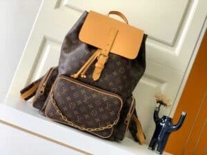 Louis Vuitton Presbyopia Leather Bag 53734 | Sandra Bags