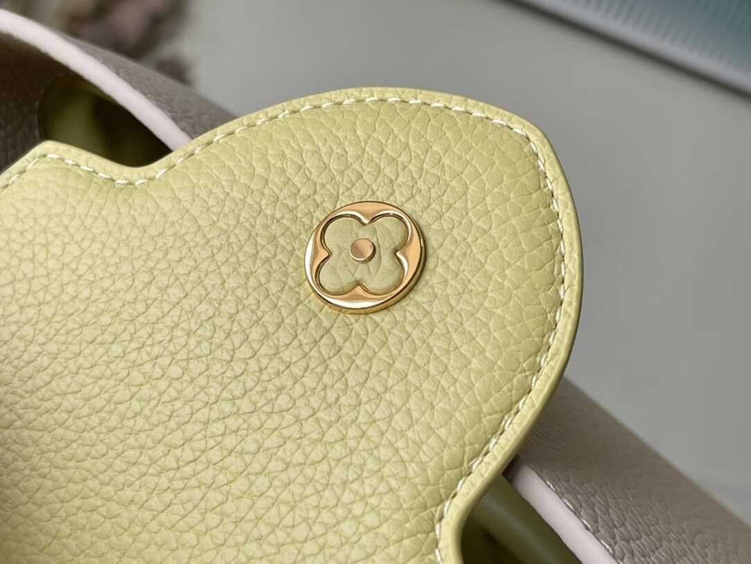 Louis Vuitton Capucines Handbag - Grey 97308 | Sandra Bags - Image 5