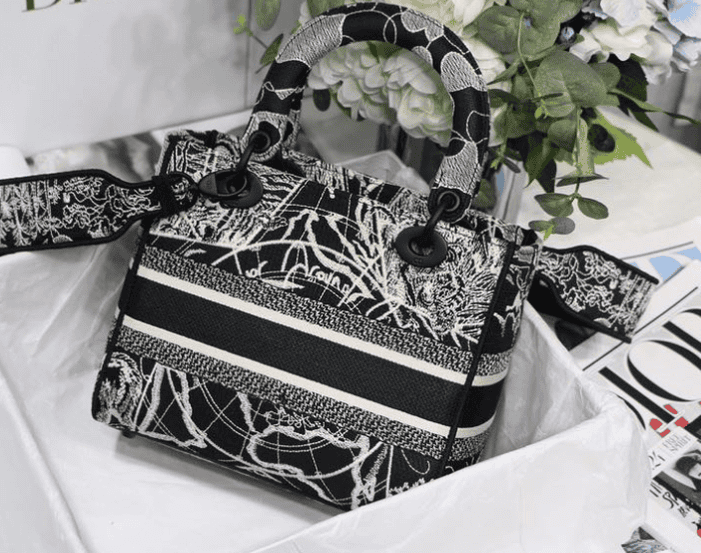 Dior Lady D-Lite Bag - White/Black 43950 | Sandra Bags - Image 5