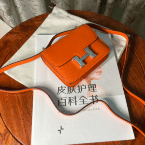 Hermes Kang Kangjia's Mini Handbag - Orange (Silver Buckle) 96234 | Sandra Bags