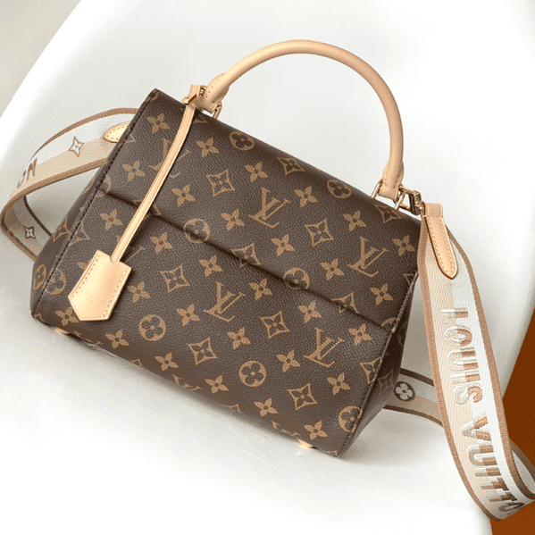 Louis Vuitton Monogram Cluny BB Handbag - Skin 30098 | Sandra Bags