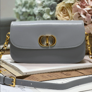 Dior Montaigne Avenue Enamel Chain Handbag -  Gray 51980 | Sandra Bags