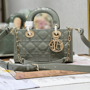 Dior Medium Horizontal Diana Bag - Rock Gray Gold Buckle 22906 | Sandra Bags