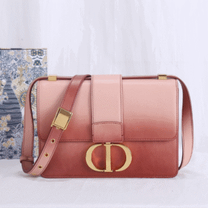 Dior Montaigne Gradient Color Bag - Brown 56099 | Sandra Bags