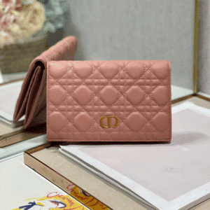Dior Caro Wallet - Pink 54861 | Sandra Bags