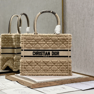 Dior Mini Book Tote Shopping Bag - Apricot 80632 | Sandra Bags