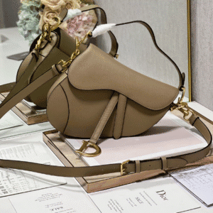 Dior Large Saddle Handbag - Hazelnut 88807 | Sandra Bags
