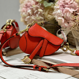 Dior Super Mini Saddle Bag - Orange 31176 | Sandra Bags
