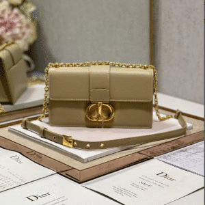 Dior 30 Montaigne East-West Chain Handbag - Skin 31585 | Sandra Bags