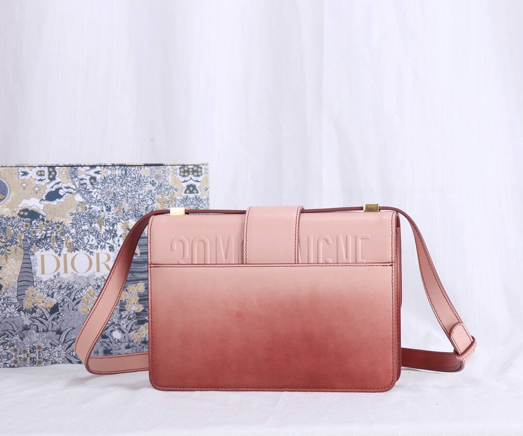 Dior Montaigne Gradient Color Bag - Brown 56099 | Sandra Bags - Image 5