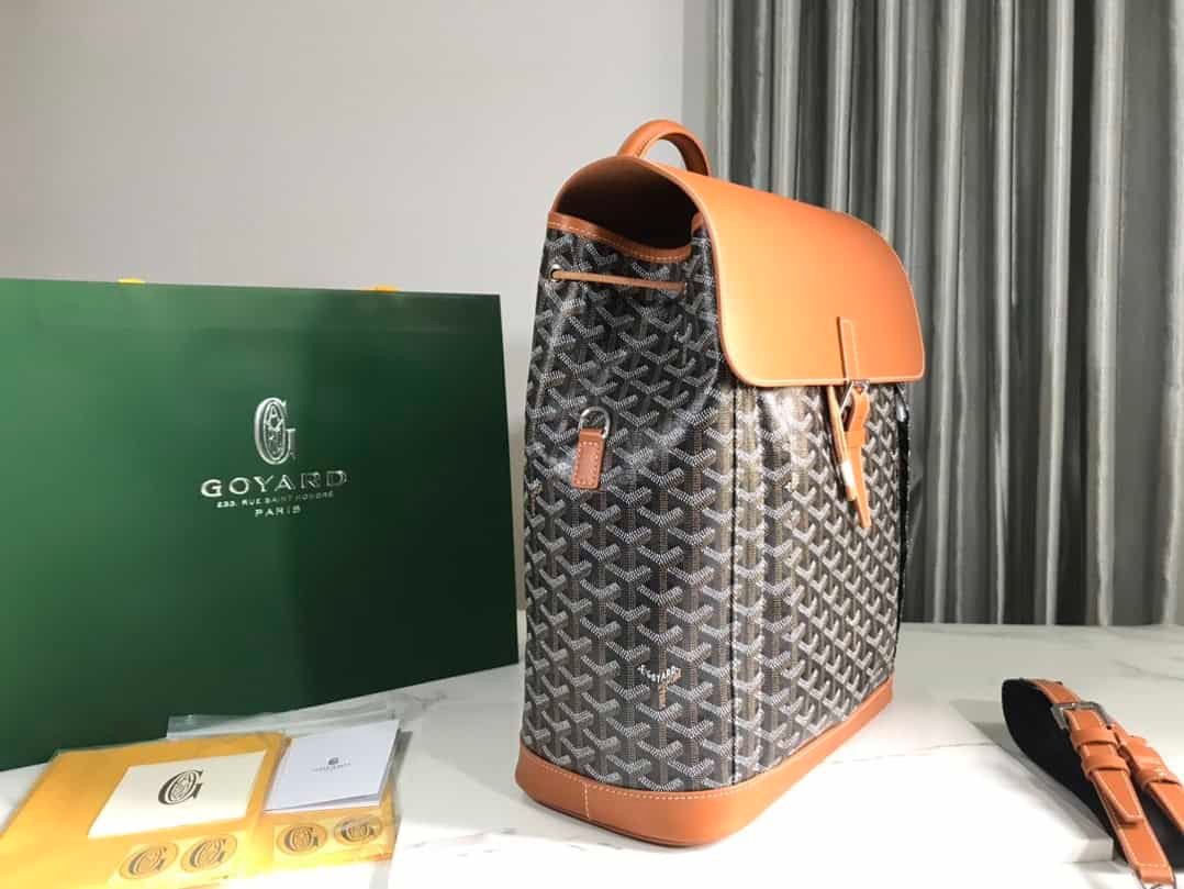 Goyard Alpin Mini Backpack - Brown 57878 | Sandra Bags - Image 4