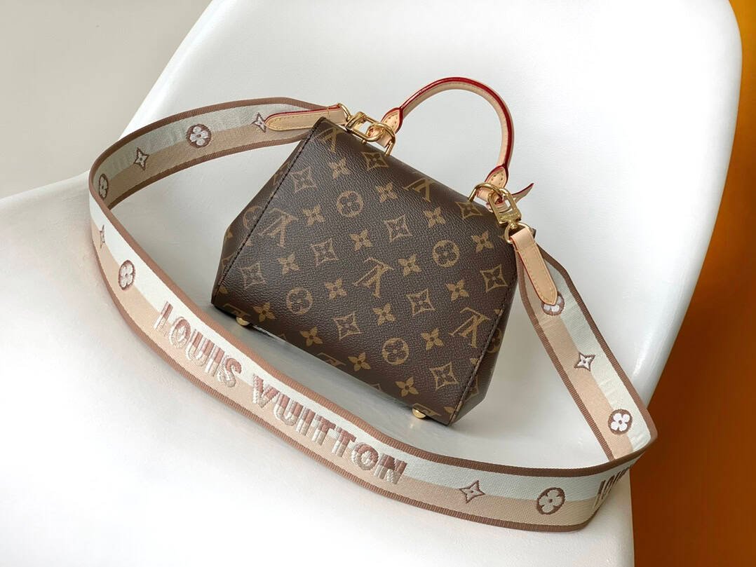 Louis Vuitton Monogram Cluny BB Handbag - Skin 30098 | Sandra Bags - Image 3
