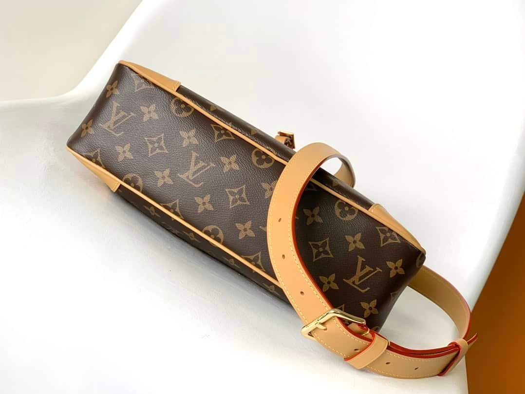 Louis Vuitton Odeon Medium Monogram Canvas Handbag 11085 | Sandra Bags - Image 3