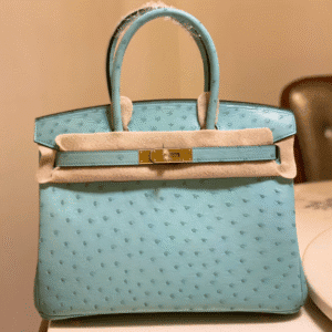 Hermes Ostrich Skin Hand Bag - Blue 67100 | Sandra Bags