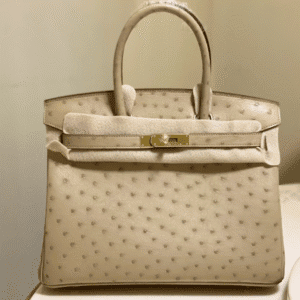 Hermes Ostrich Skin Hand Bag - Skin 34653 | Sandra Bags