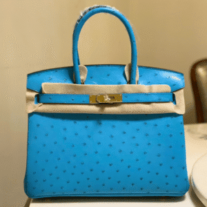 Hermes Ostrich Skin Hand Bag - Blue 73158 | Sandra Bags