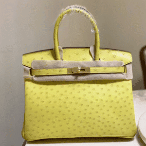 Hermes Ostrich Skin Hand Bag - Yellow 26530 | Sandra Bags