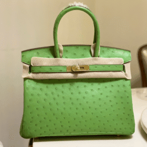 Hermes Ostrich Skin Hand Bag - Green 25648 | Sandra Bags