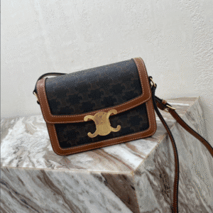Celine Teen Triomphe Canvas And Calfskin Handbag 26868 | Sandra Bags