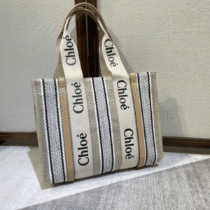 Chloe Rainbow Woody Medium Tote Bag 13968 | Sandra Bags