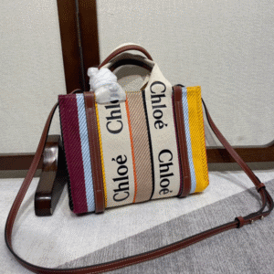 Chloe Rainbow Woody Small Tote Bag 39158 | Sandra Bags
