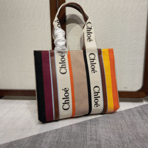 Chloe Rainbow Woody Medium Tote Bag 23154 | Sandra Bags