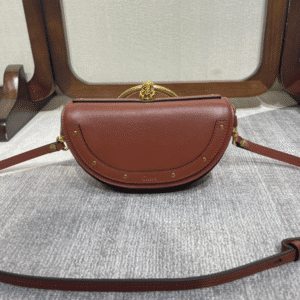 Chloe Nile Catwalk Style Handbag - Brown 52098 | Sandra Bags
