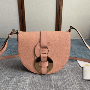 Chloe Darryl Peach Oolong Pink Saddle Bag 74030 | Sandra Bags