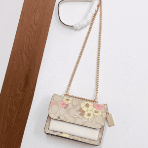 Coach Printed Mini Klare Crossbody Bag 86122 | Sandra Bags