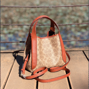 Coach C Family Vegetable Basket Small Handbag - Red 72681 | Sandra Bags