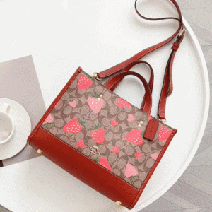 Coach Dempsey Horizontal Strawberry Large Tote Shopping Bag - Red 91559 | Sandra Bags