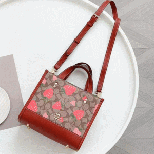 Coach Dempsey Horizontal Strawberry Small Tote Shopping Bag - Red 11032 | Sandra Bags