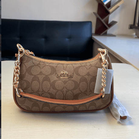 Coach Teri Armpit Bag - Brown 90561 | Sandra Bags