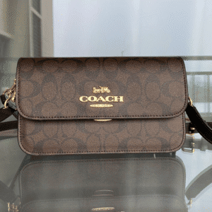 Coach Brynn Underarm Bag - Brown 30856 | Sandra Bags
