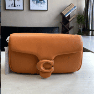 Coach C Home Dionysus Shoulder Bag - Orange 42672 | Sandra Bags