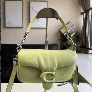 Coach Mini Pillow Fat Dionysian Cross-body Bag - Green 20213 | Sandra Bags