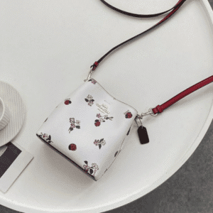 Coach New Mini Bucket Bag - White 87462 | Sandra Bags