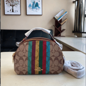 Coach Colorful Striped Steamed Bun Bag 66158 | Sandra Bags