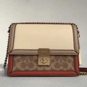 Coach Hutton Family Earth Tone Handbag 17424 | Sandra Bags