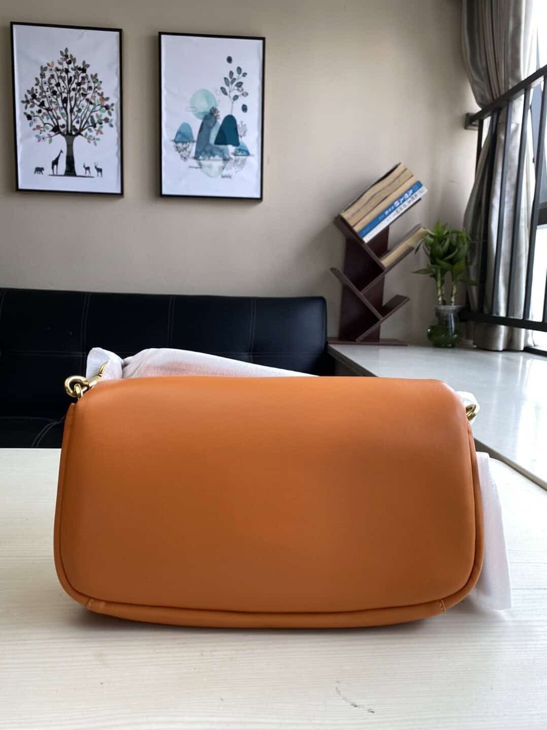 Coach C Home Dionysus Shoulder Bag - Orange 42672 | Sandra Bags - Image 5